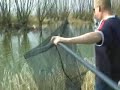 snoek 91 cm snoek 91 cm