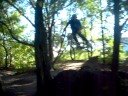 Whips at Salamandor Trails