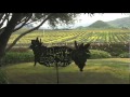 Wine Tasting in San Luis Obispo with Breakaway ...