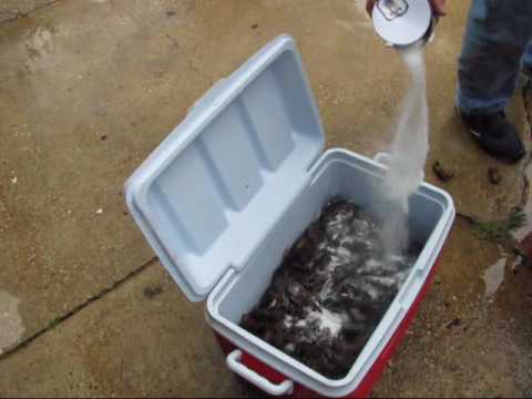 Cajun Crawfish boil 2010