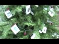 Westfield Stray Cat Rescue Tree Lighting 2009 Part 1/2