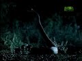 Fooled by Nature - Rhythmic Rattlers
