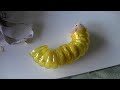http://img.youtube.com/vi/fpmYwQxS2S0/1.jpg