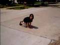 GRETEST SKATEBOARD MOVIE EVER