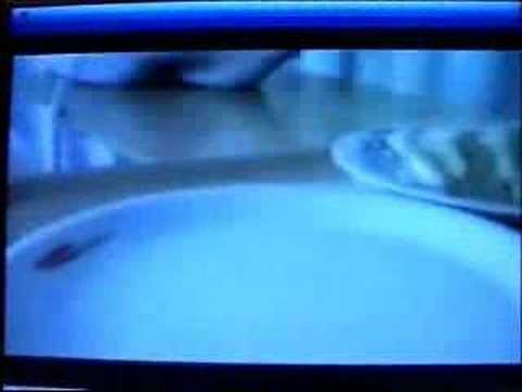 Hillingdon Hospital food on the BBC