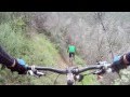 Blue Bug Trail 1 - 
