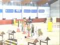 2008-03-08 Doré CSO 1.20m Young Stallion Competition Belgium