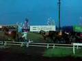 ばんえい競馬(Banei Horse Racing)