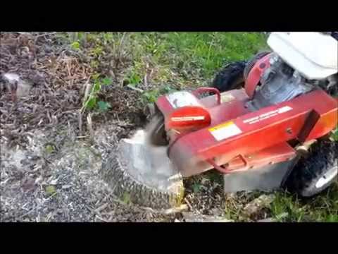 how to get rid of tree stumps quickly