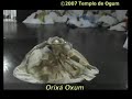 templo de ogum   xirê de saída de iawôs