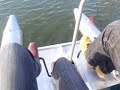 Musical paddle boats Musical paddle boats