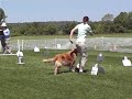 Click here to watch this video Fainne-Kit 3B APDT.5-19-12.MOD