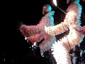 Machel Montano HD @ MSG - Jumbie!!!!!