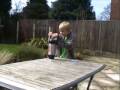 Will' s Science Experiment