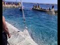 LA MATTANZA DEI TONNI A CARLOFORTE