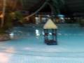 videos de aquatroic bassin