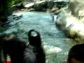 dufan kc Arung jeram 2
