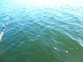 102lb Nile Perch Caught on Lake Nasser Egypt