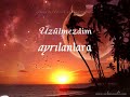 seni asla unutmam