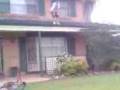 videos de jumping off roof