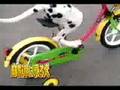 chien fait du v�lo