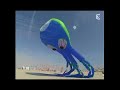 Berck-sur-Mer 2007 TV3 Octopus Kite Interview French