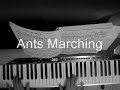 dave matthews band piano tribute