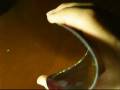 videos de RefractionReflection