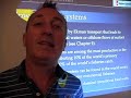 Ocean Food Webs - Upwelling Ecosystems Ocean Food Webs - Upwelling Ecosystems