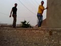 ئاسو ضد امين