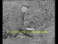 WW2 Blind Piano Tuner Gardens for Victory