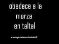 obedece a la morza en taltal