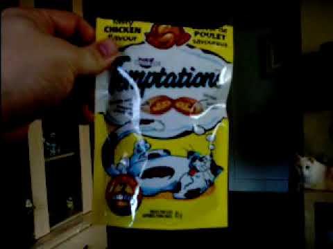 Cats love Temptations