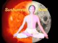 Hatha Yoga Video Tutorial - 1. Introduction