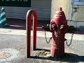 YouTubeサムネイル[fqTHHtAf1HQ] - 2枚目