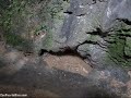 Parque de las Cavernas del Río Camuy