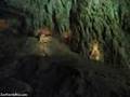 Parque de las Cavernas del Río Camuy