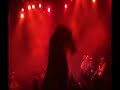 EMIR KUSTURICA & THE NO SMOKING ORCHESTA, \"pitbull\"
