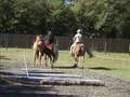 videos de Sturgeon Family Fun
