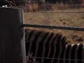 Our Zebra Friend, Spot