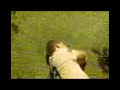 EL VIDEO DEL A�O