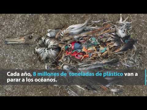 Imagen de previsualización de YouTube