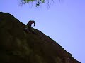 RAKA 7C VALLE