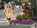 BUSI BOX FOLLOW