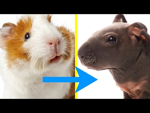 9 Cute Facts That'll Make You Want A Hug