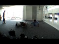 NatMeat 09'