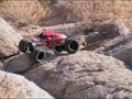 Desert Crawl- Anza Borrego,CA.