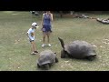 Our Seychelles Island Hopping family video - Praslin, La Digue, Cousin, Curiosa & Mahe