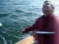 Jigging wire on the Sea Sprite