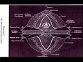 Planet X And The Sumerians Pt.1 Planet X And The Sumerians Pt.1